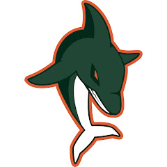 DolphinsAnconaTV
