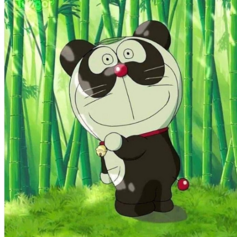 TV Panda