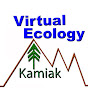 Kamiak - Virtual Ecology logo