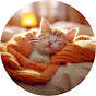 Healing Cat Music Avatar