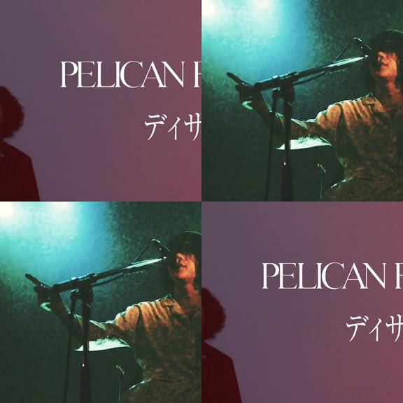 PELICAN FANCLUB