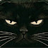 SV_P-IPtjU4-channel-avatar-Noir Lounge