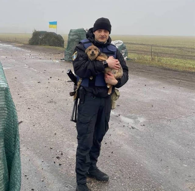 0P53wjf723ZG-9CnS_-kWrz4lK0Y4LXIZ7RQ99vPORXLCa1DkfEpDde7MivDRf7-sdeLlZIYy2K7=s640-nd-v1