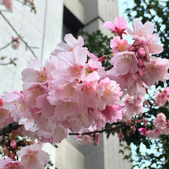 Hyper分享生活的趣事アイコン画像