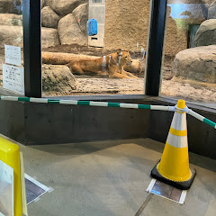 アラレ2チャンネル〔円山動物園〕アイコン画像