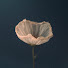 i_8Ba4VIXy8-channel-avatar-딥 것 deepgut