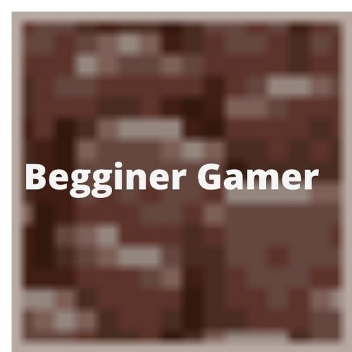 Begginer Gamer