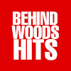 What could Behindwoods Hits buy with $17.6 million?