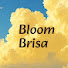 KWleeuYHVoI-channel-avatar-Bloom Brisa