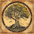 42H8ahn_t6c-channel-avatar-Histhology