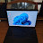 Photo of @PC-jermainvaca