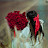 @tamerdiap8959