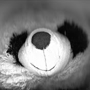 Fuzzy Panda Recording Company