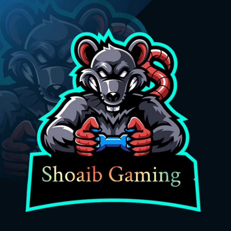 Shoaib Gaming 