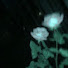 gGwMs6hr9NQ-channel-avatar-•Lucky__Flower•🫰