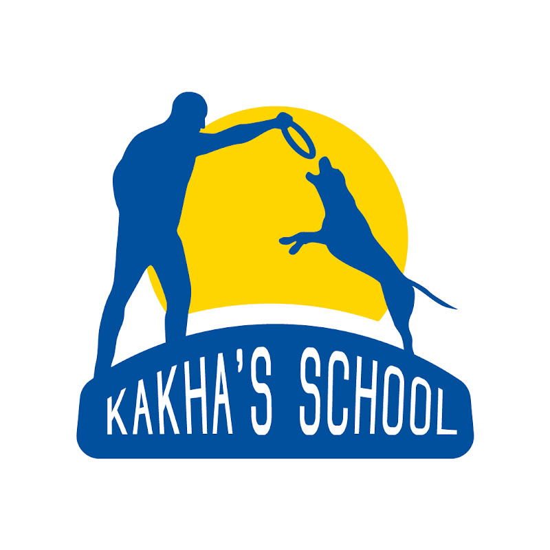 Kakha's School - კახას სკოლა