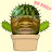 Kaktus Bert