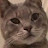 @insidejokes1840's avatar