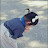 @호박사랑123