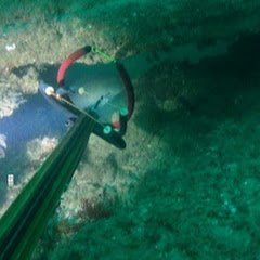 FLdiving