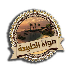 Sahara Adventure KSA
