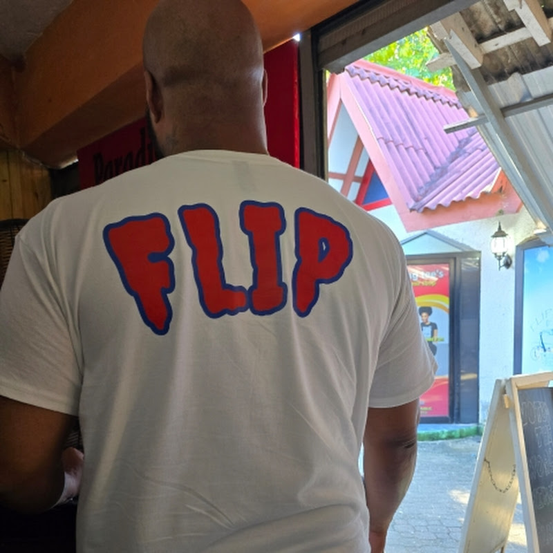 Mister Flip Flop icon