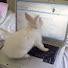 iqFd94rKfZ4-channel-avatar-ㅠ.ㅠ