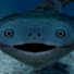 xd_Cu7lVUPs-channel-avatar-Chezboi