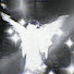 -cdE7gpn8TM-channel-avatar-†he whi†e