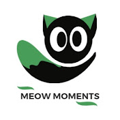 Meow Moments