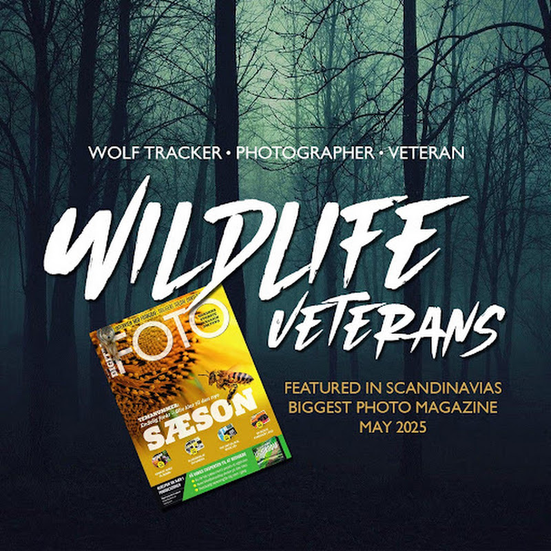 Wildlife Veterans