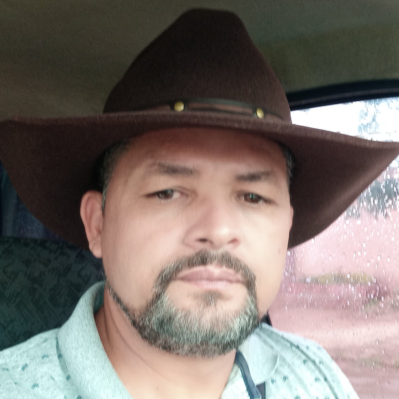 ALDRIAN RODRIGUES vasos de cimento e diversos