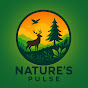 Nature’s Pulse by Ajay logo