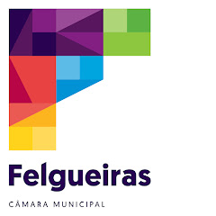 Município de Felgueiras