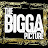 The Bigga Picture