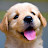 @cuteanimalworld-b9m