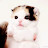 @카고메미츠키