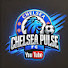 H3BiIcDImmM-channel-avatar-Chelsea Pulse 