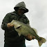 m4g-bkOeolI-channel-avatar-RodFather Bass Fishing