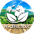 XBG3DbYaPfY-channel-avatar-Peaceful Soul