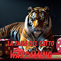 La Tana del Gatto logo