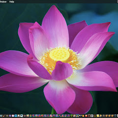 OldAppleGamer (JCTOTGaming)