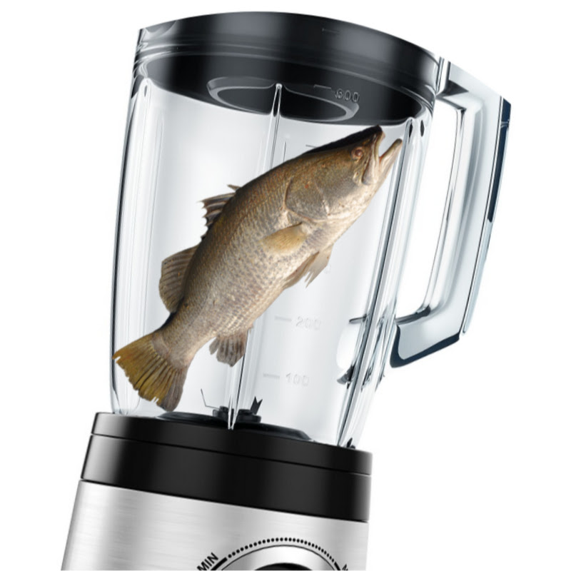 Fishin a Blender