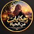 11_l5BBnvJc-channel-avatar-حكايات من الحياة — Life Stories