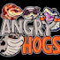 Y9xPq0ZjsHY-channel-avatar-Angry_Hogs