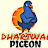 DHARIWAL PIGEON 