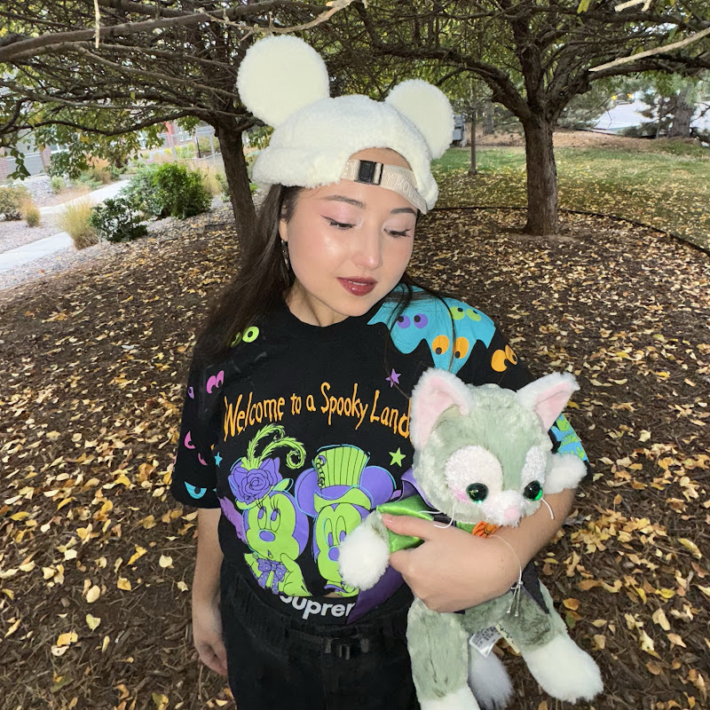 Tokyo Disney Blog
