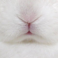 chii