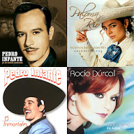 Ya llegó tu enamorado