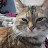 @LyonCampos-x6t